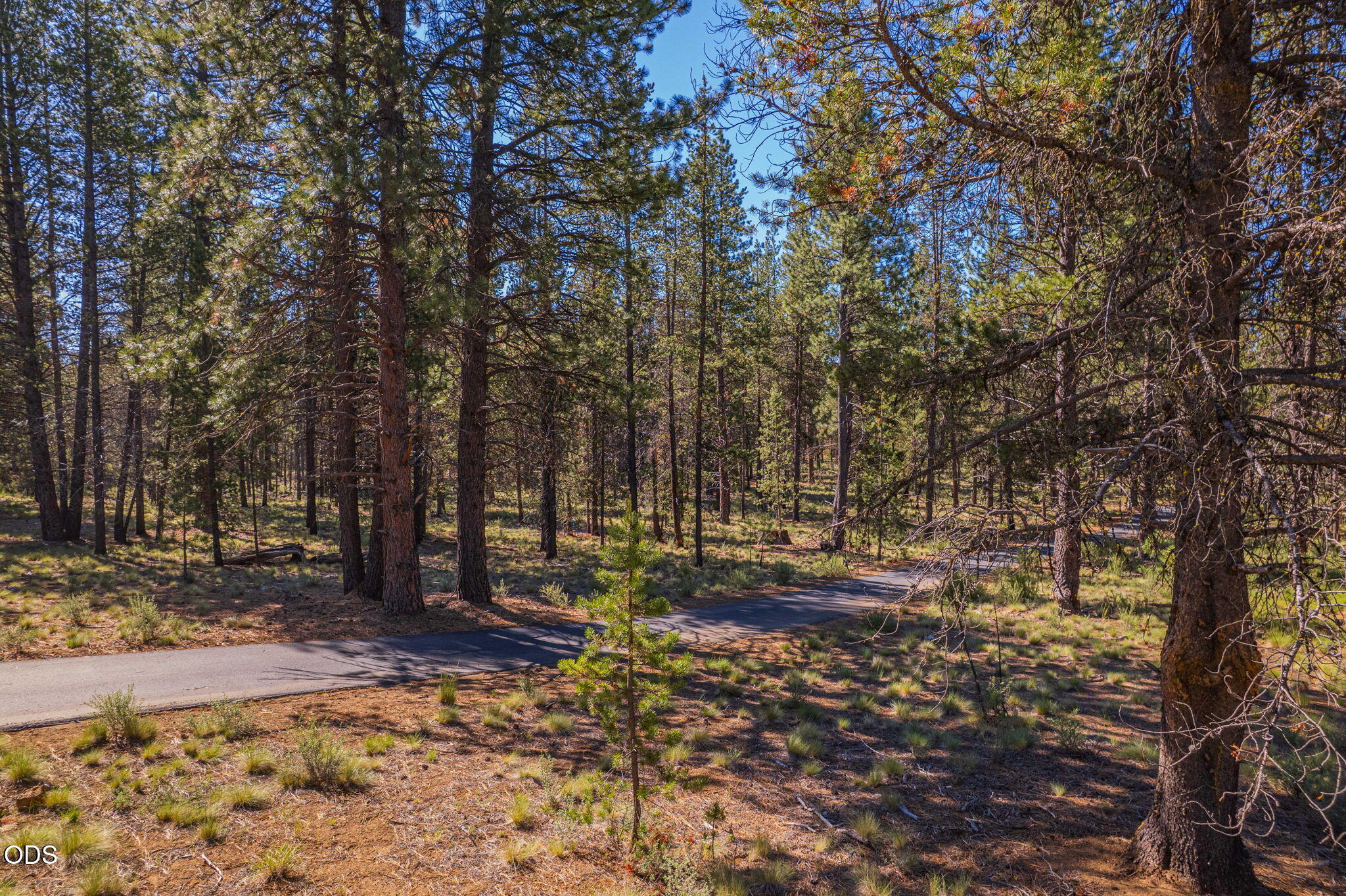56319 Mirror Rock Loop, 337