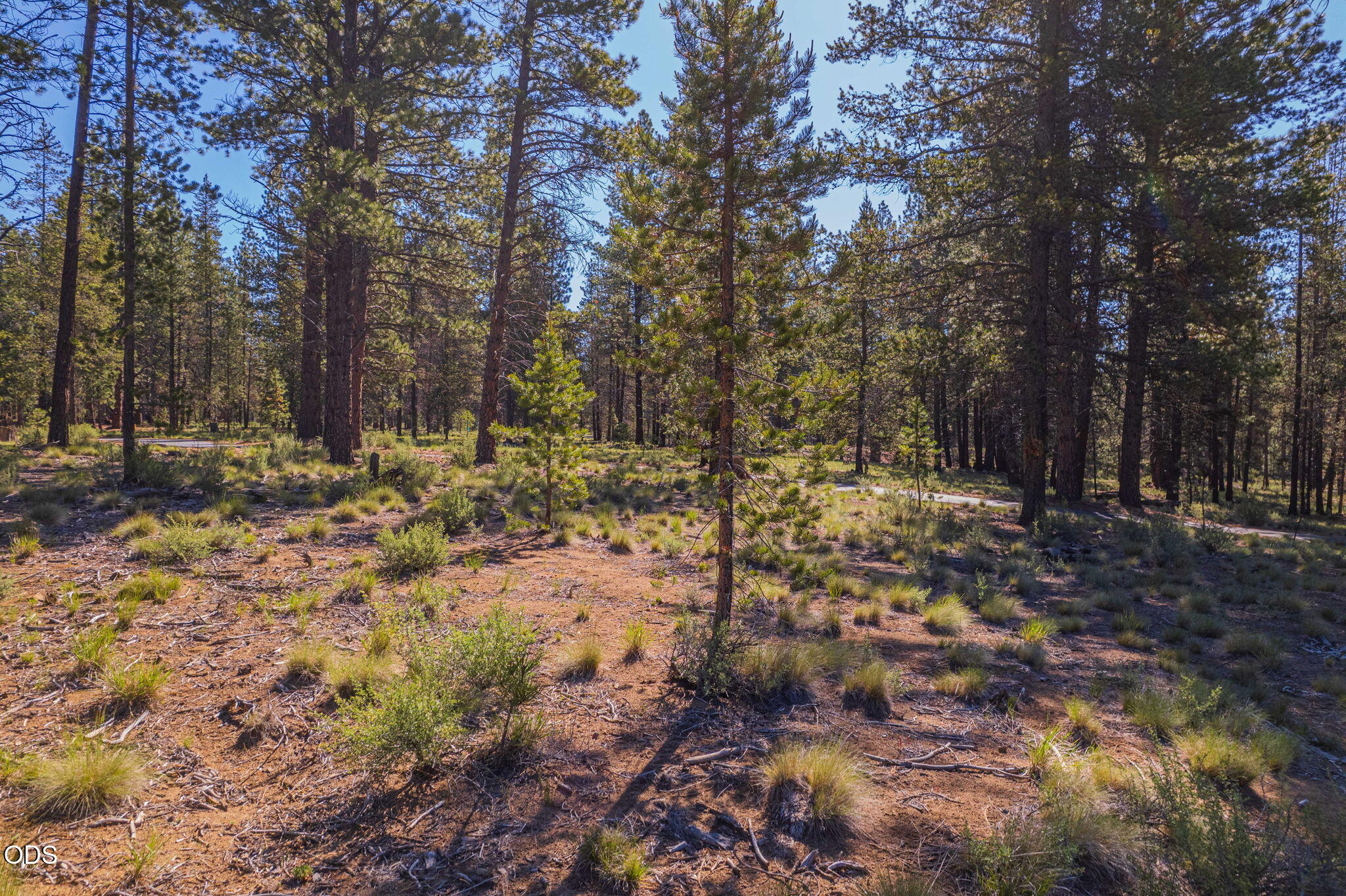 56319 Mirror Rock Loop, 337