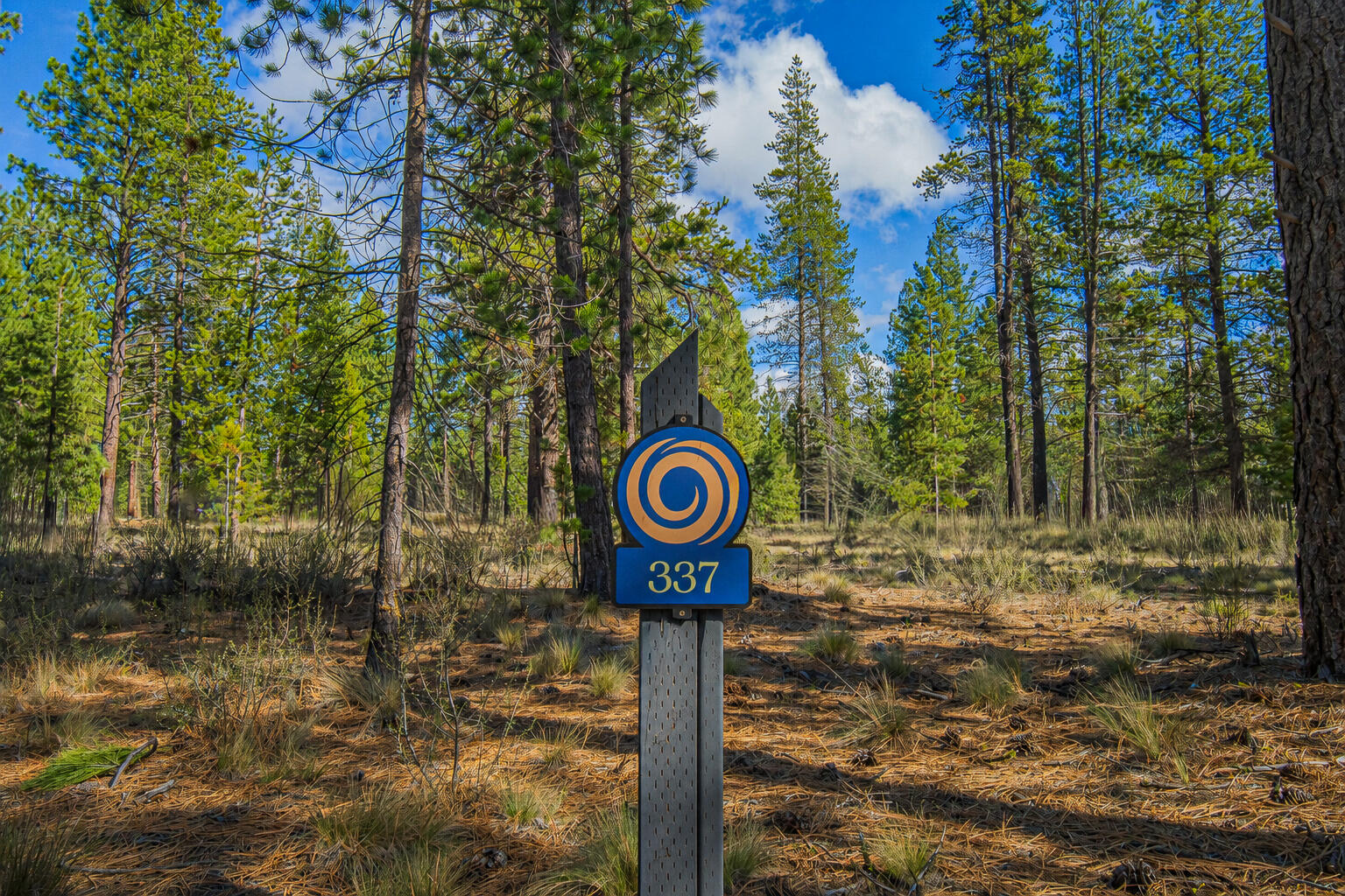 56319 Mirror Rock Loop, 337