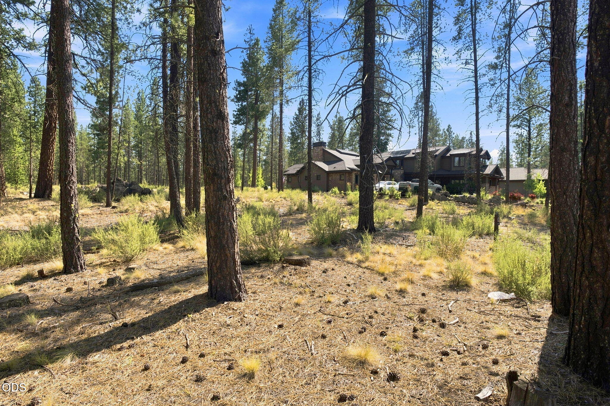 56213 Mirror Rock Loop, 374