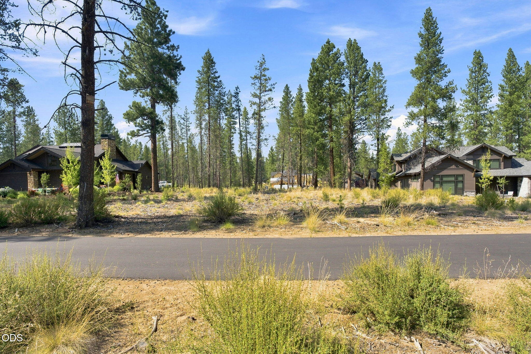 56213 Mirror Rock Loop, 374