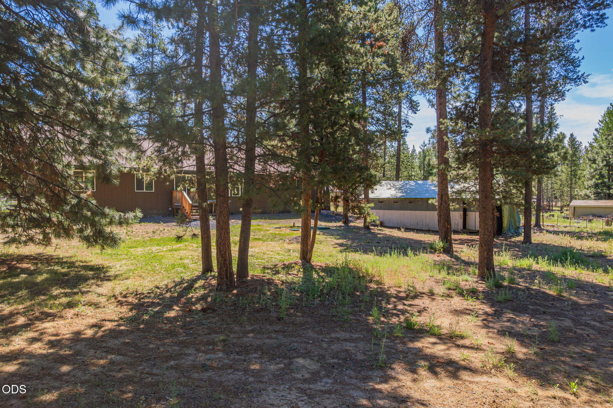 52917 Shady Lane
