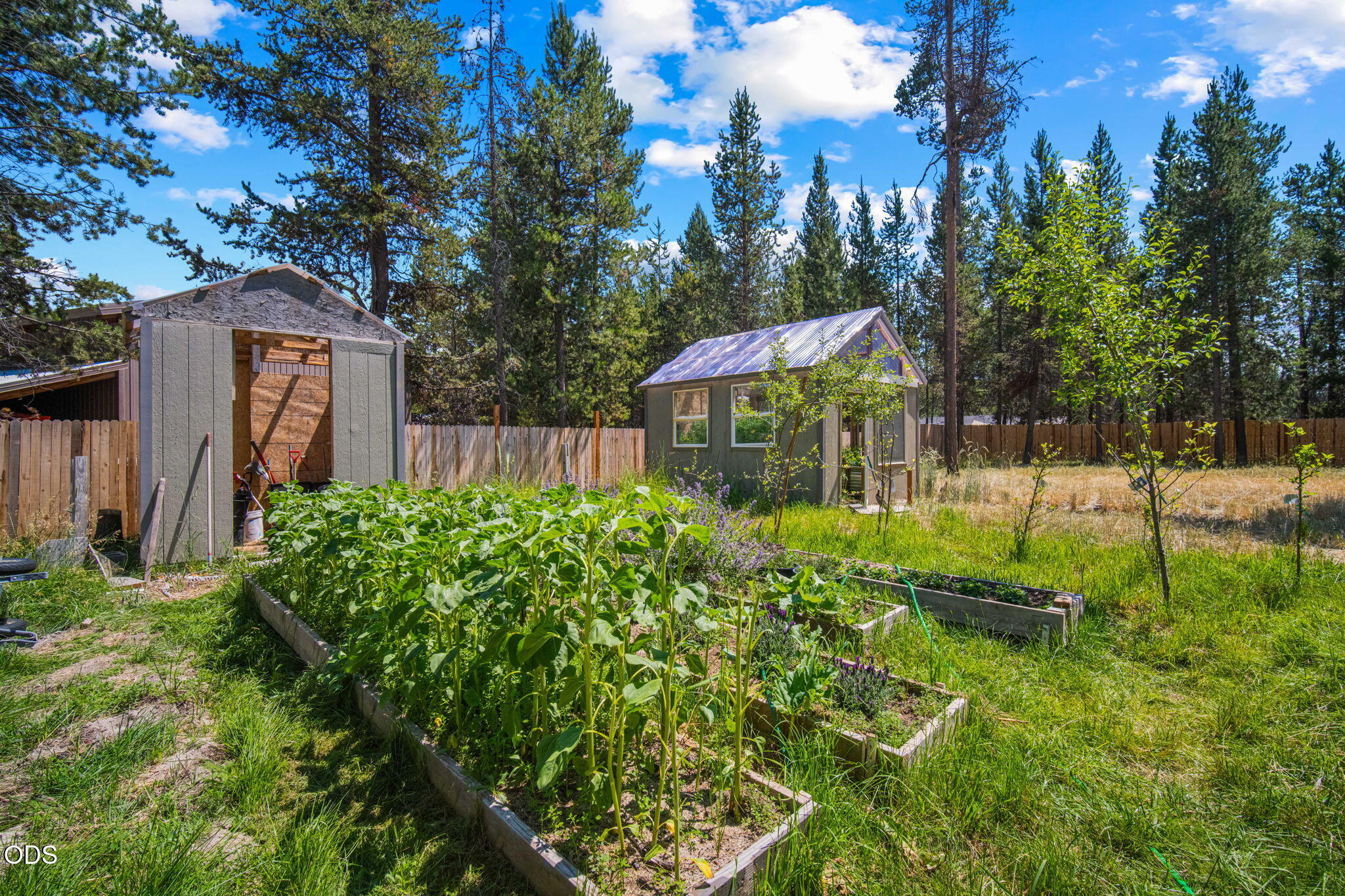 17465 Snow Goose Road