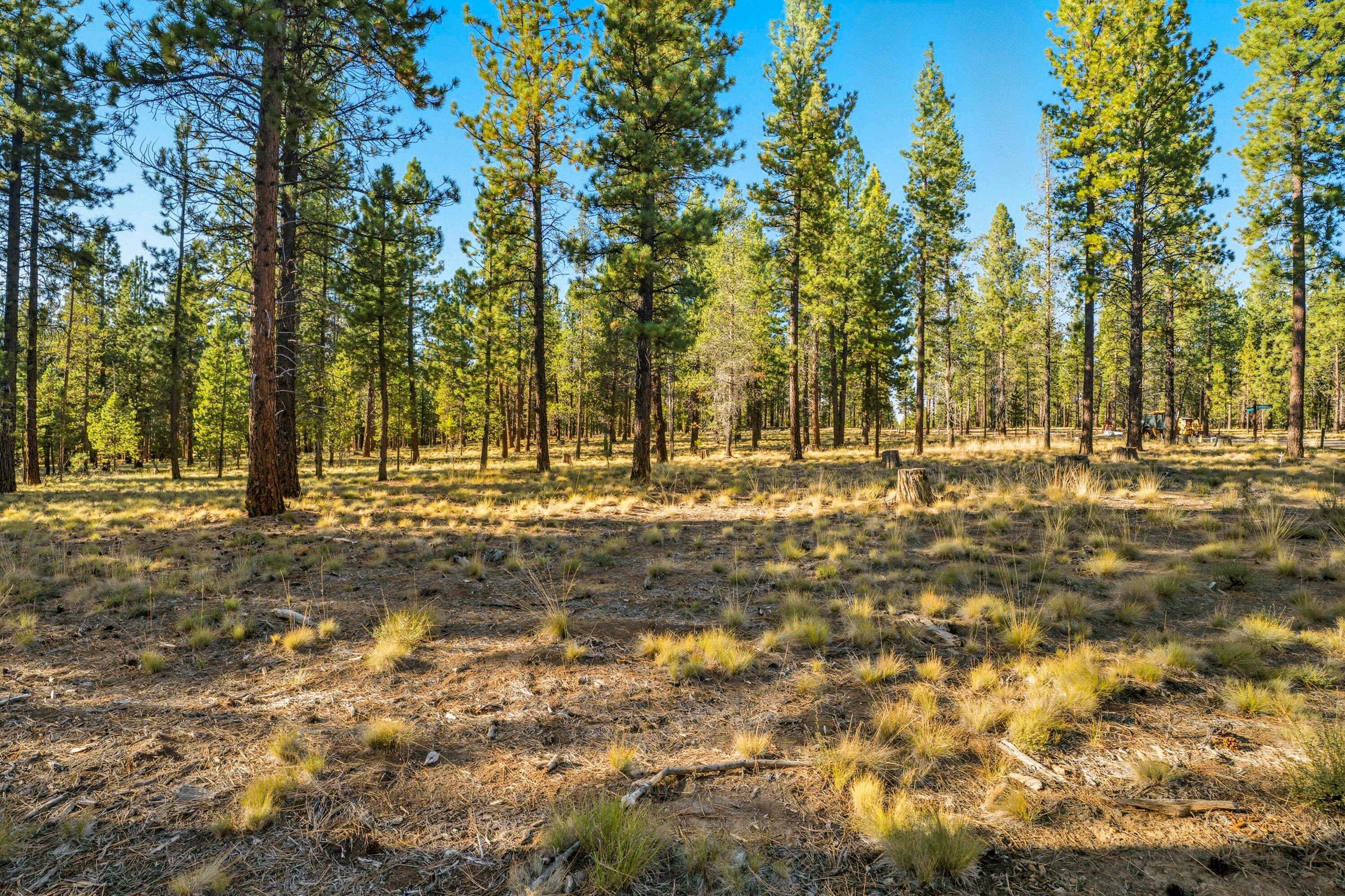 56561 Elk Run Drive, 526