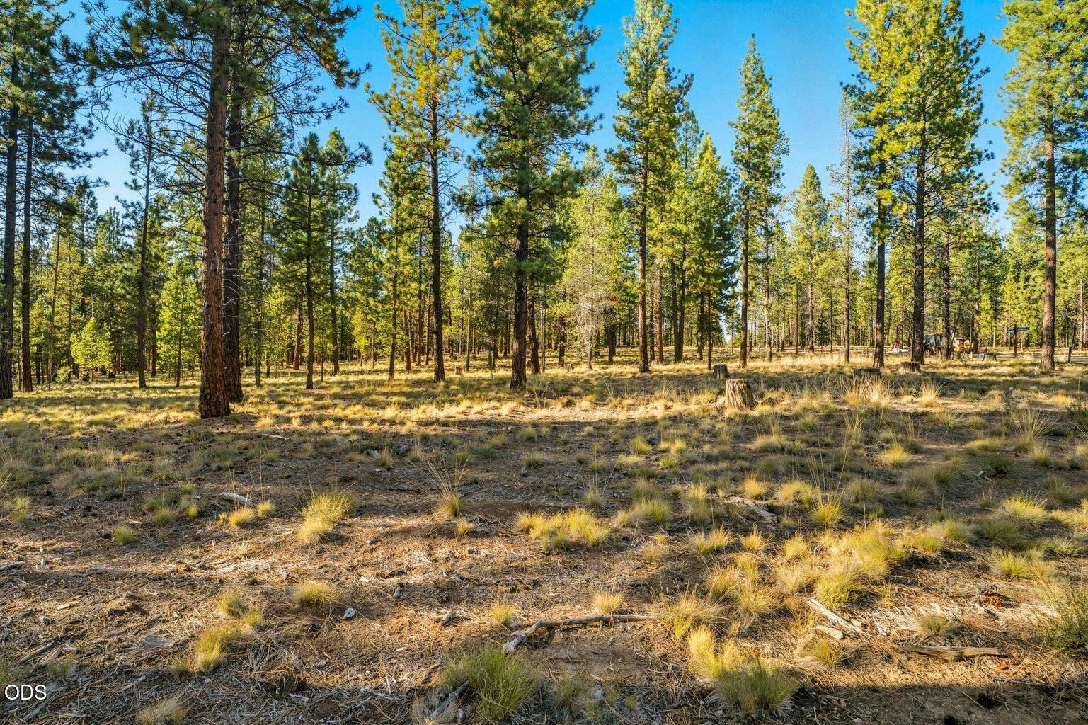 56577 Elk Run Drive, 524