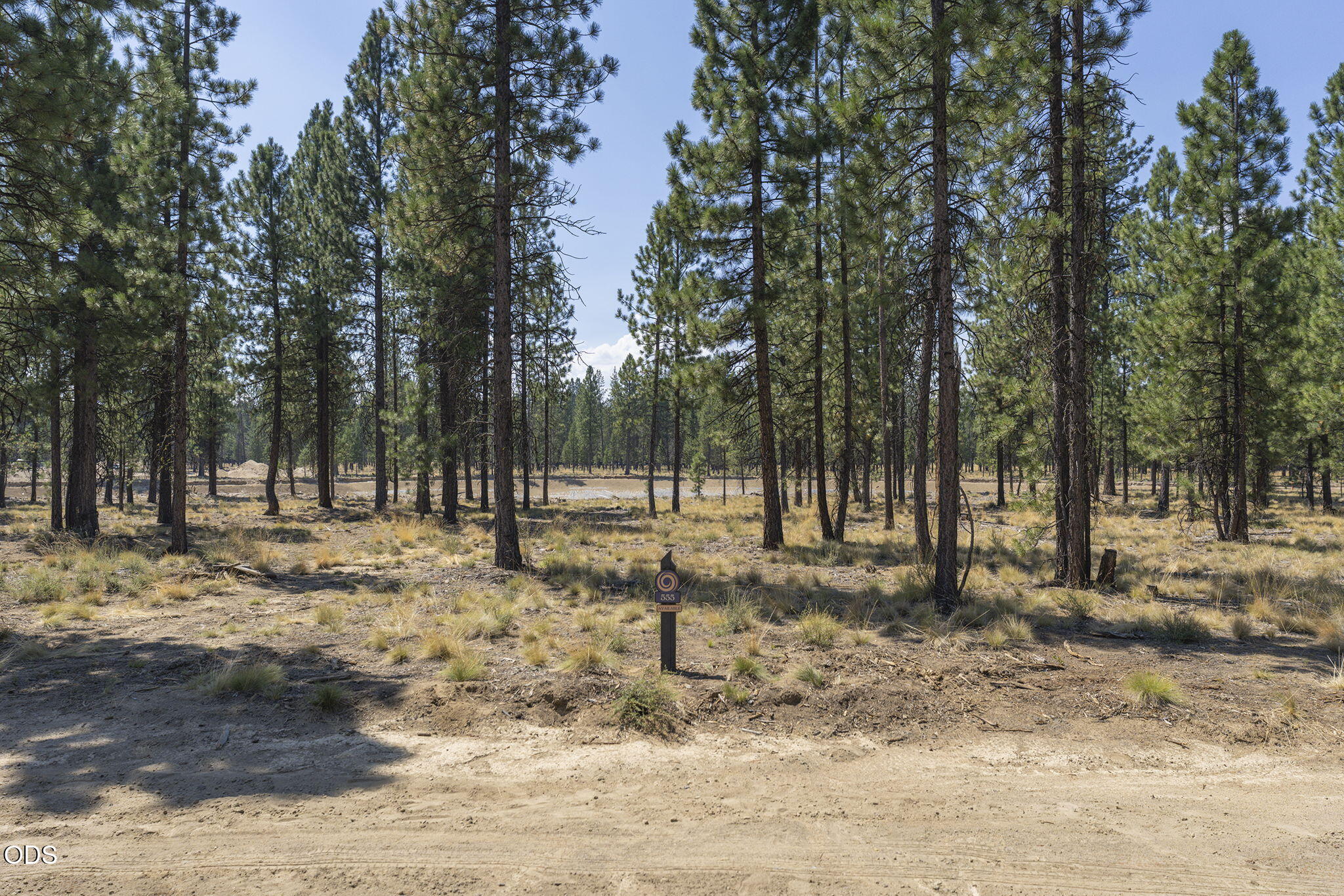56672 Red Bark Lane, 555