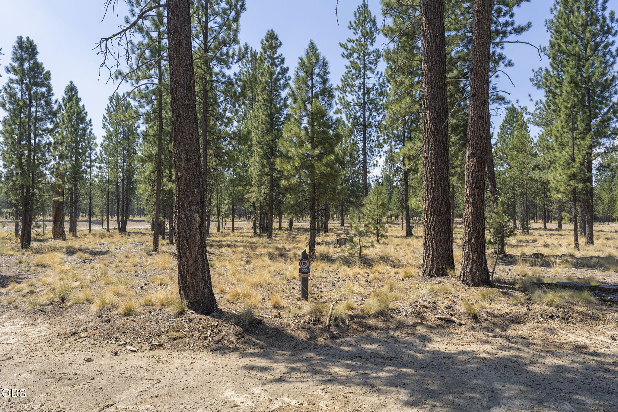 56680 Red Bark Lane, 556