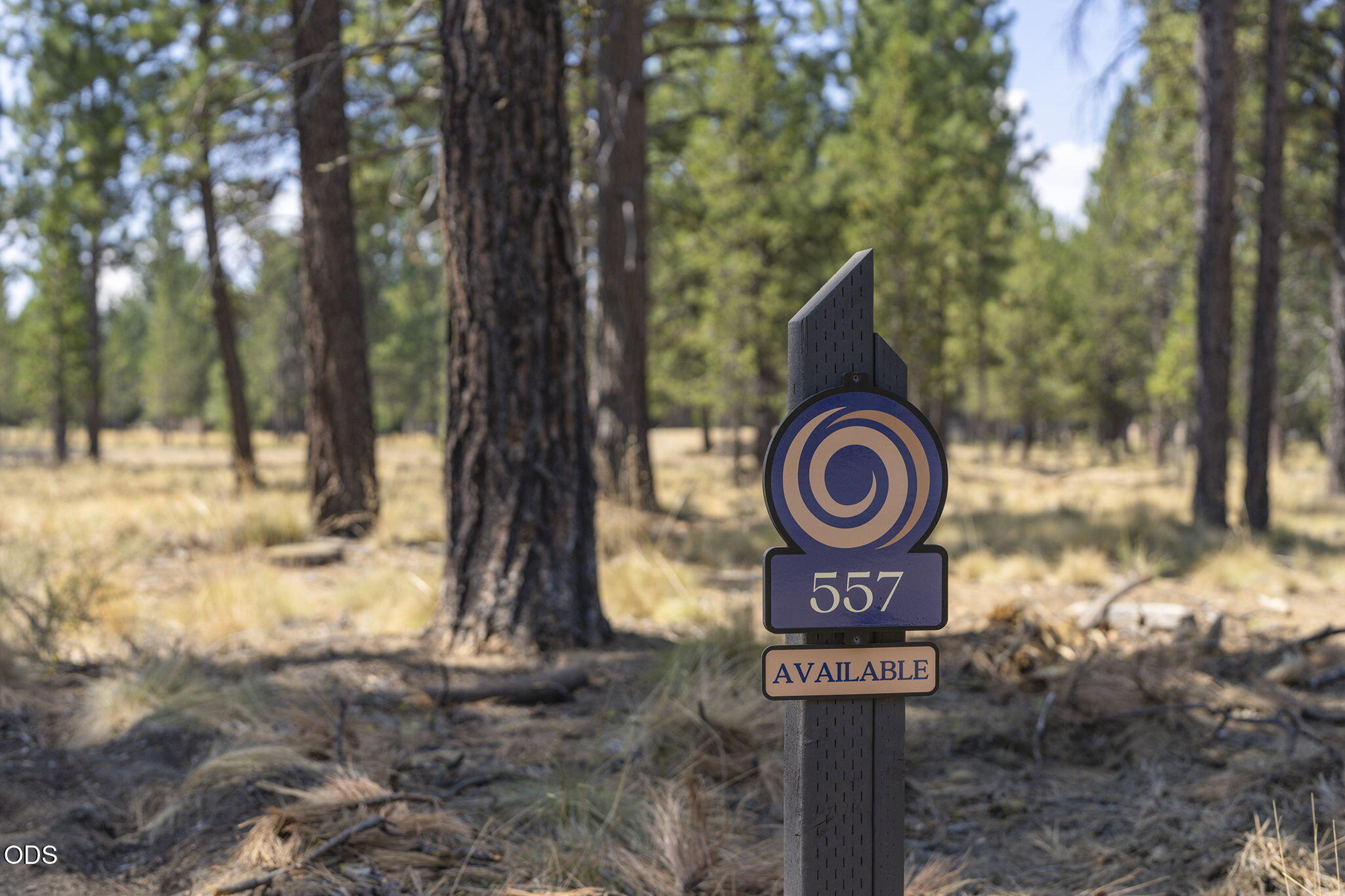 56686 Red Bark Lane, 557