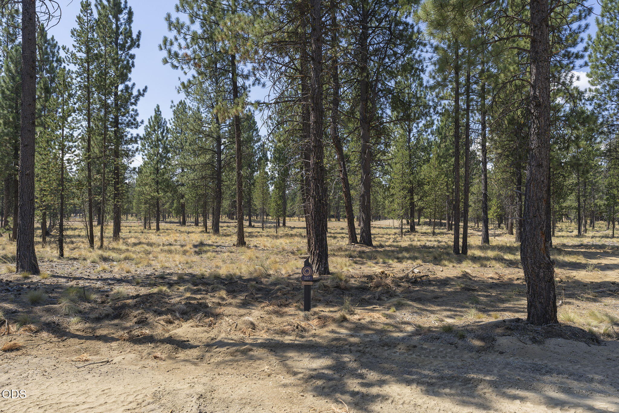 56686 Red Bark Lane, 557