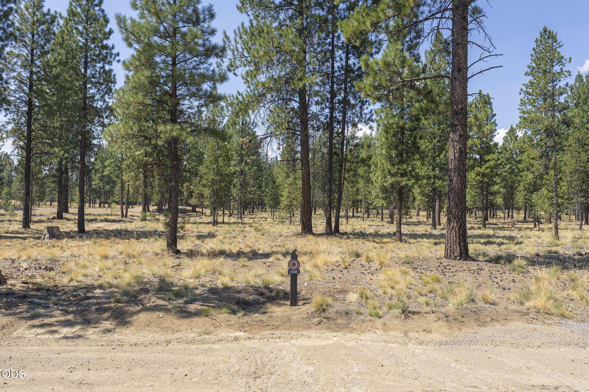 56694 Red Bark Lane, 558