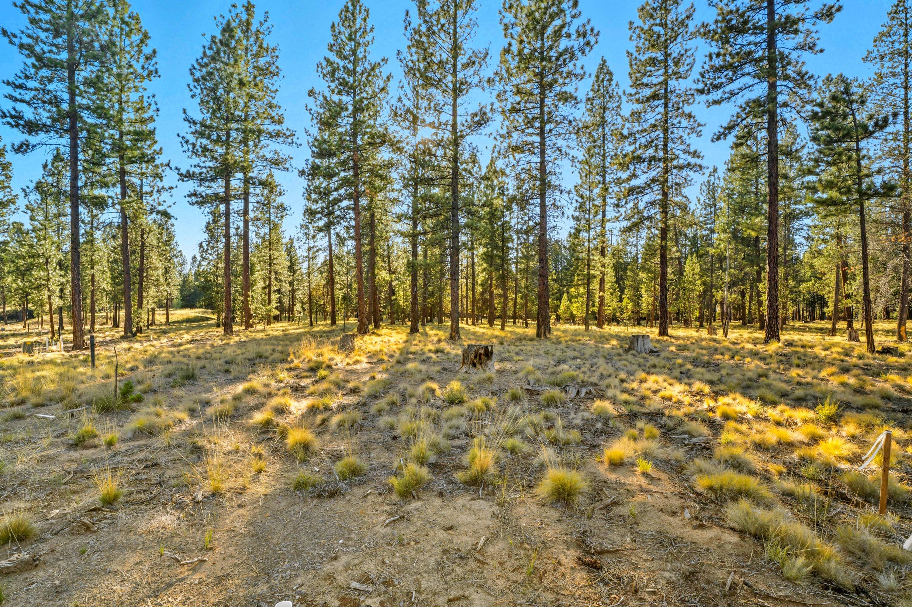56545 Elk Run Drive, 528