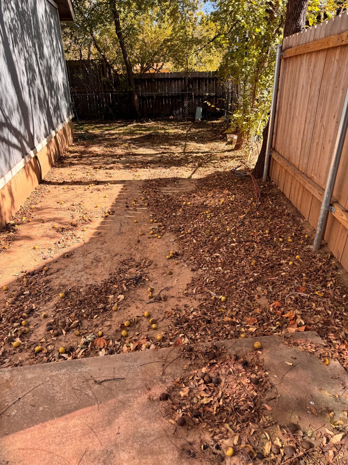 11405 PTARMIGAN DR # A