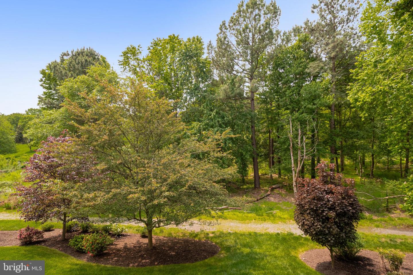 10317 Brittenford Dr