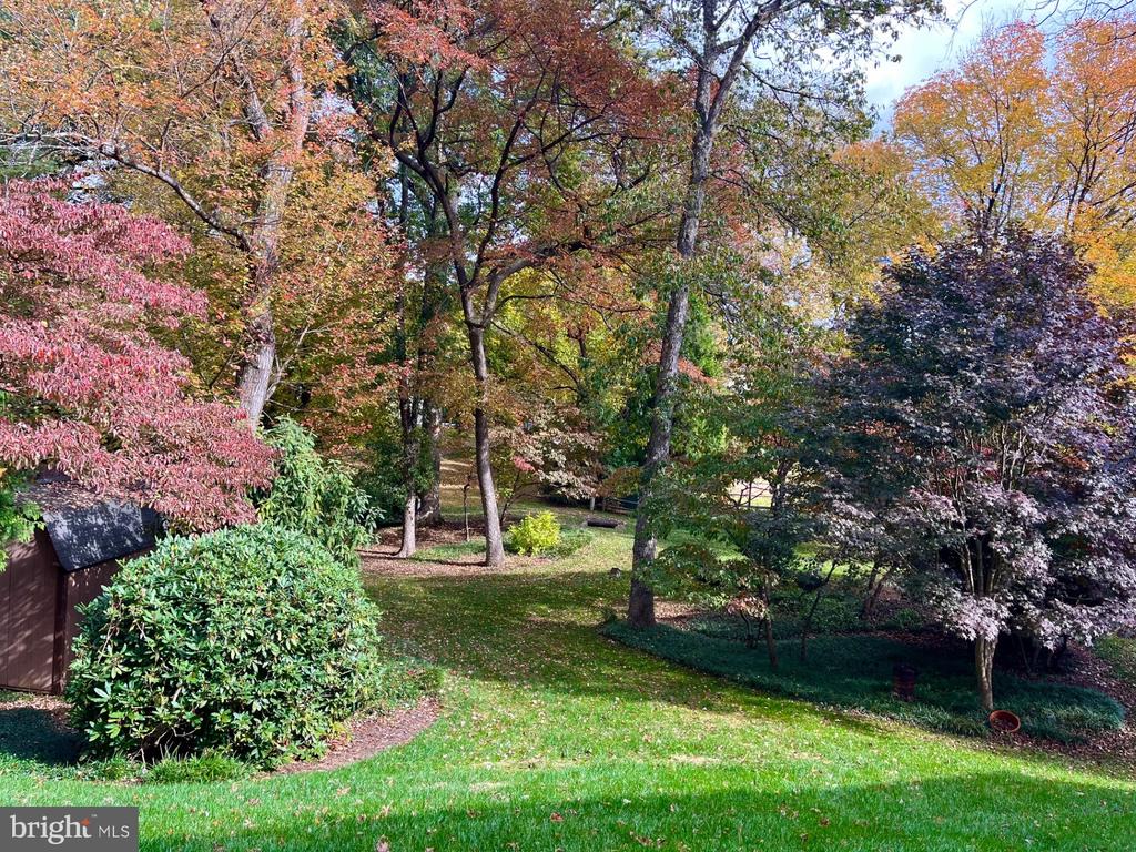1709 JUMPER COURT