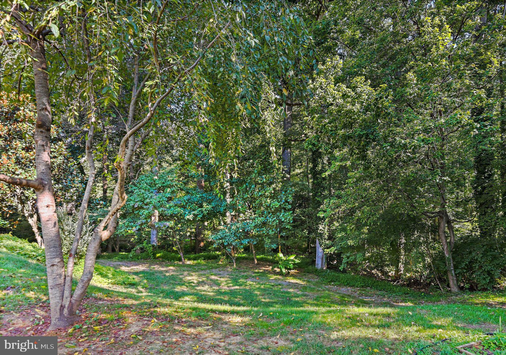 1807 HORSEBACK TRAIL