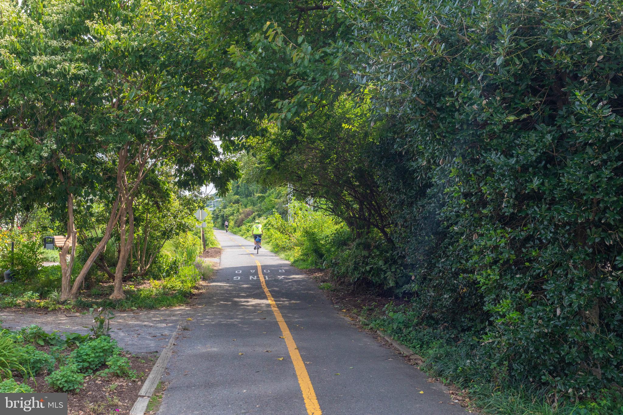 1807 HORSEBACK TRAIL