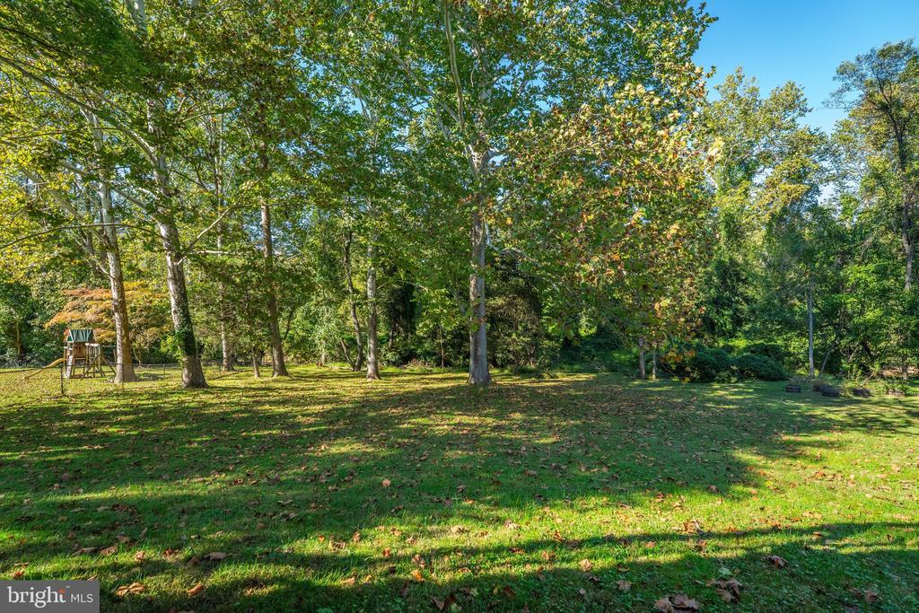 Grassy backyard bordered by mature trees, with a small playset at the left.