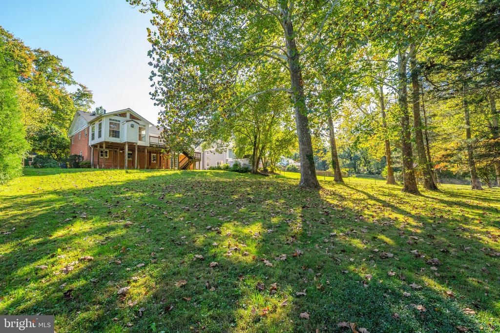 Rear of a brick-and-siding house beyond a broad, tree-shaded lawn.