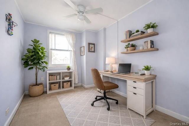 1776 Seminole Avenue