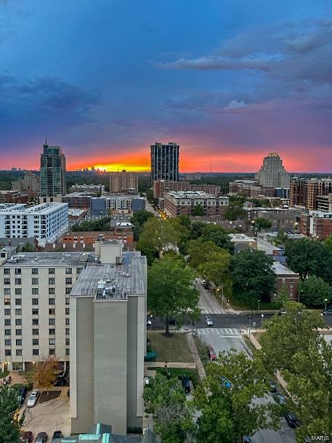 4466 West Pine Boulevard Unit: 20C