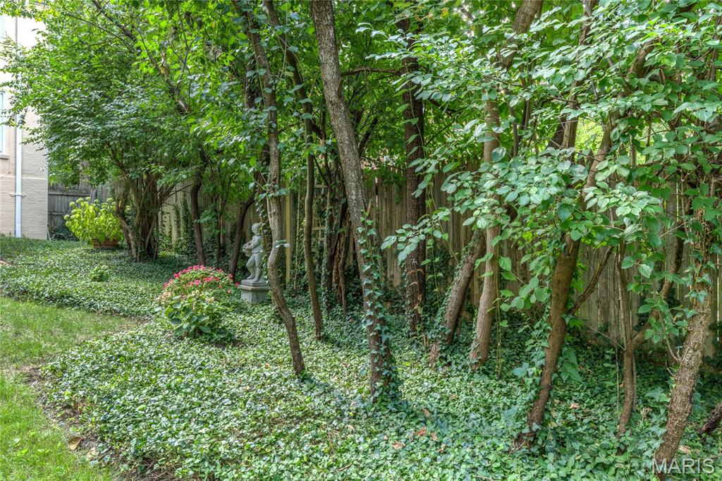 7117 Maryland Avenue