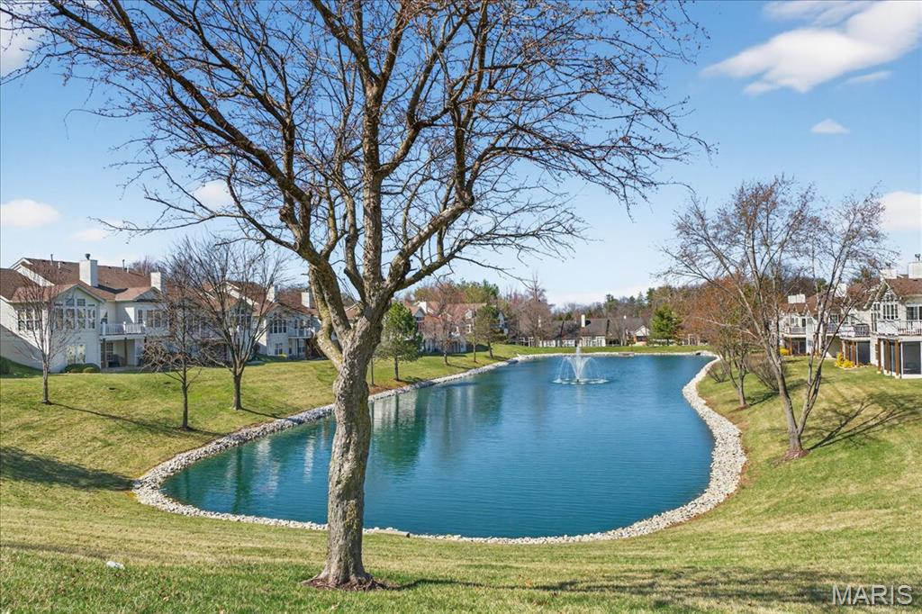 14738 Thornbird Manor Parkway