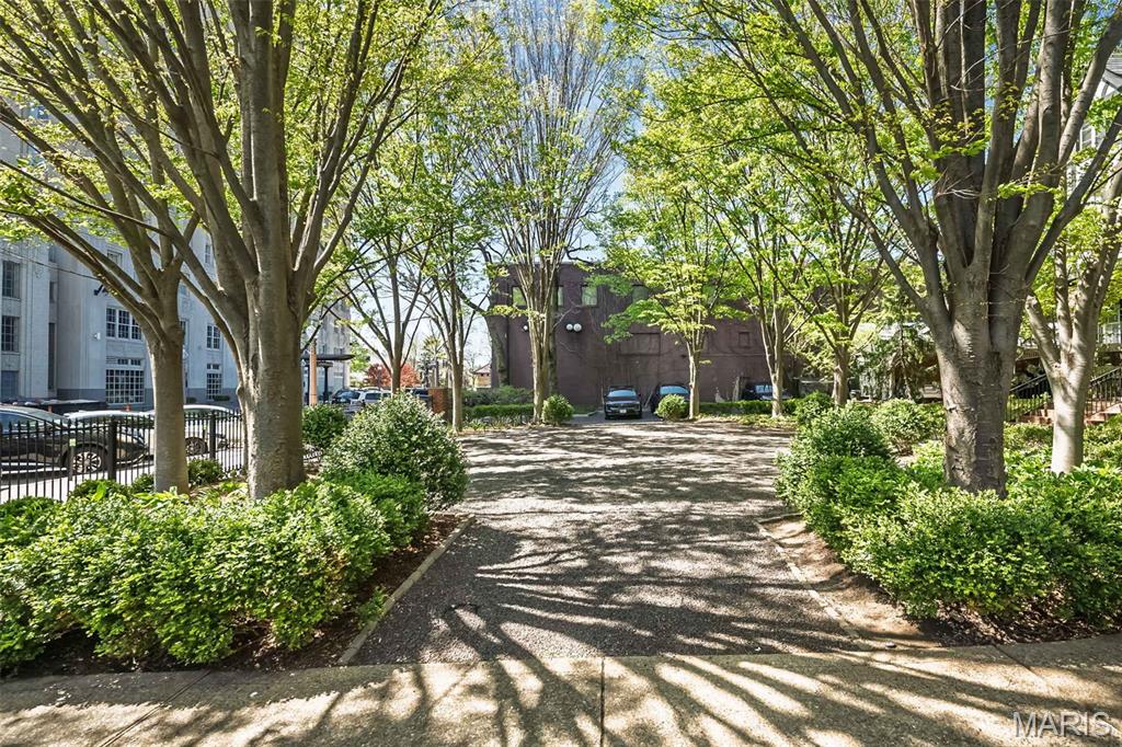 55 Maryland Plaza Unit: 2E