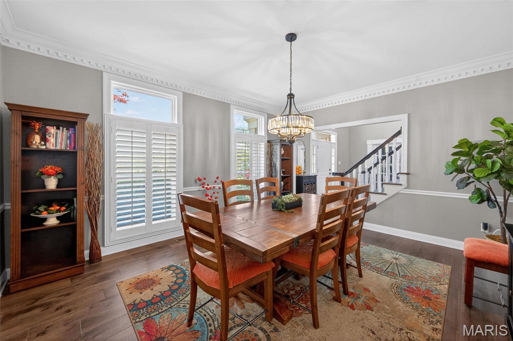 17702 Drummer Lane