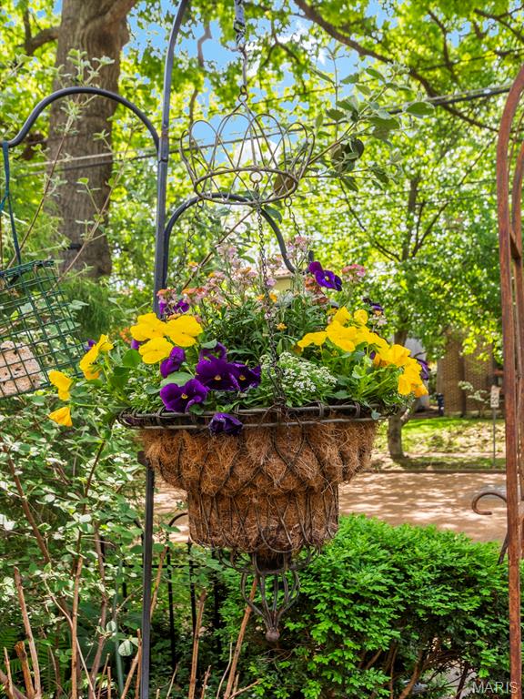 7398 Norwood Avenue Unit: 1W