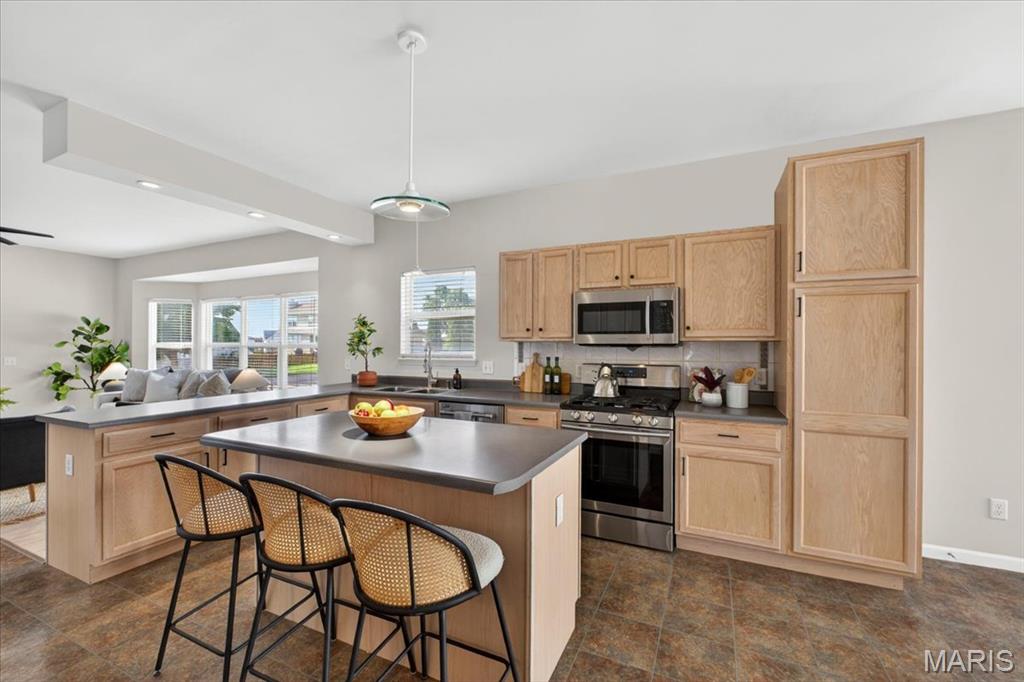 1435 Soaring Eagle Drive