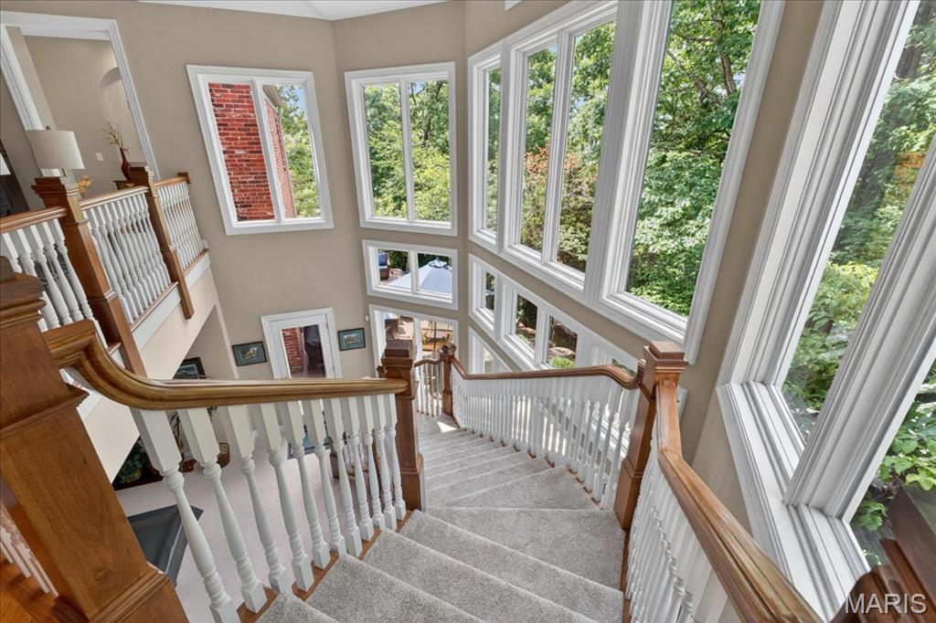 638 Morel Court
