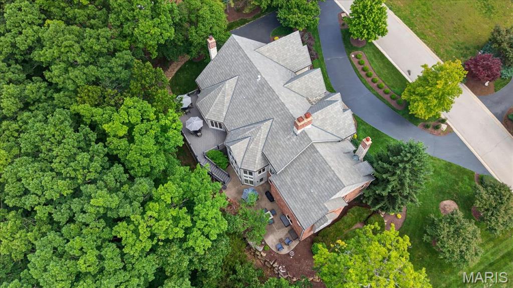 638 Morel Court
