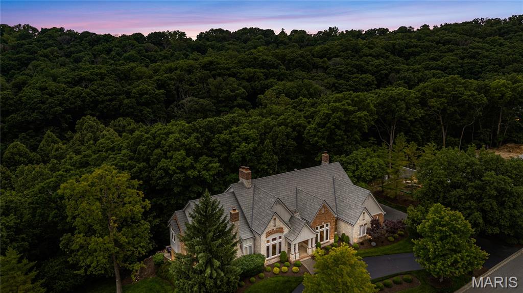 638 Morel Court