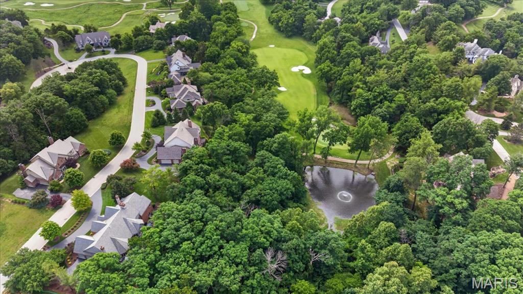 638 Morel Court