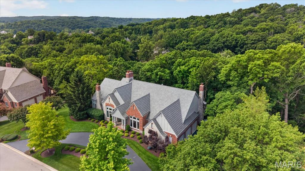 638 Morel Court
