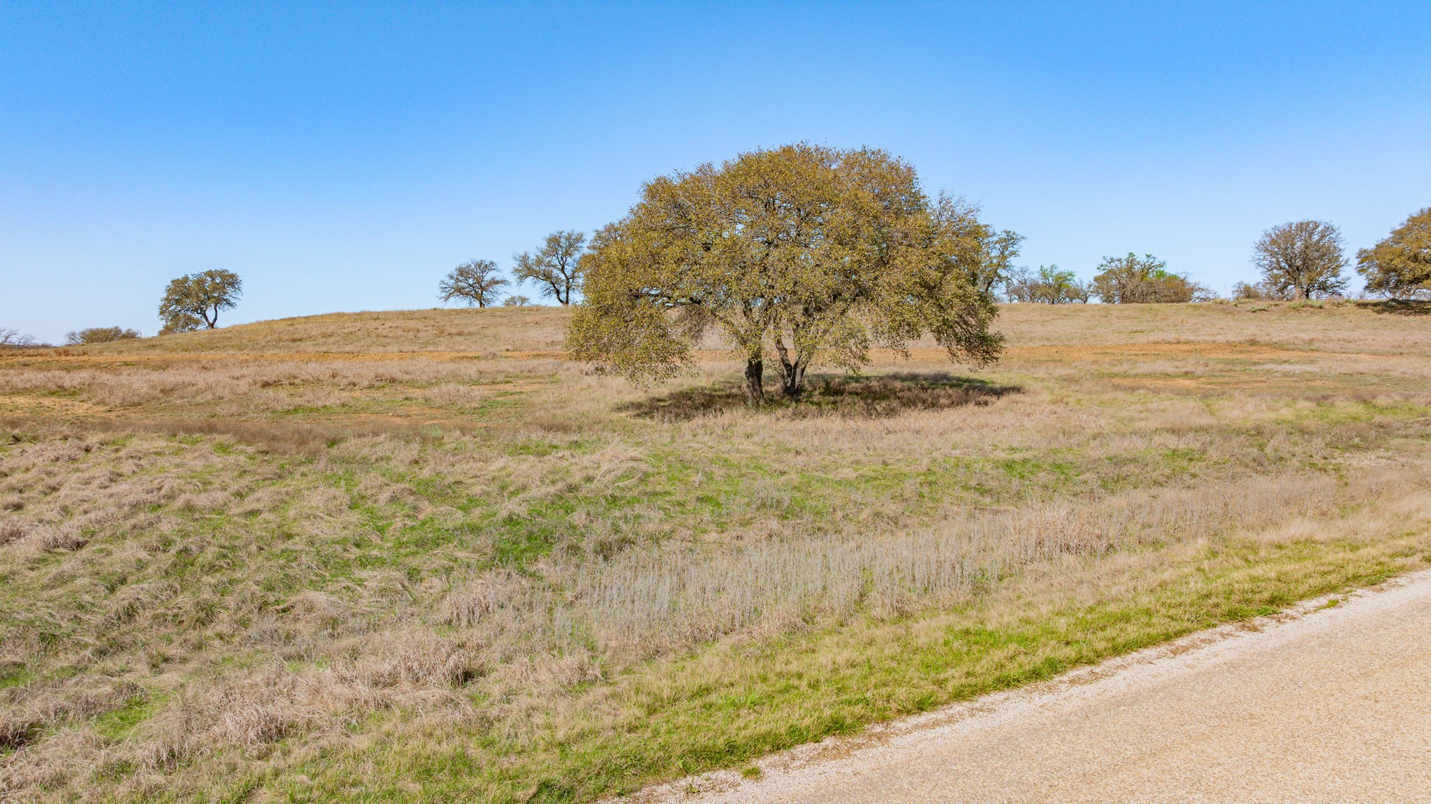 LOT 6 SIERRA VISTA BLVD