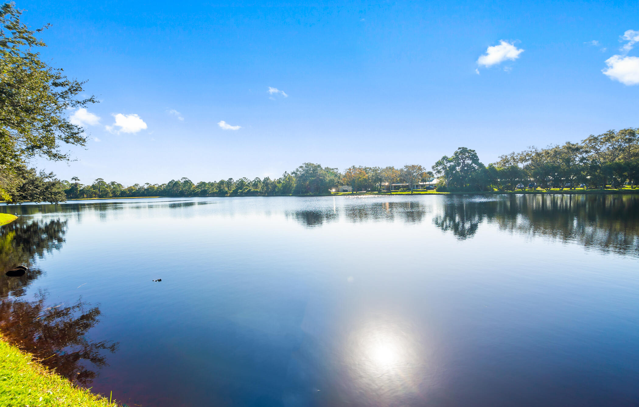 6833 Whitetail Court