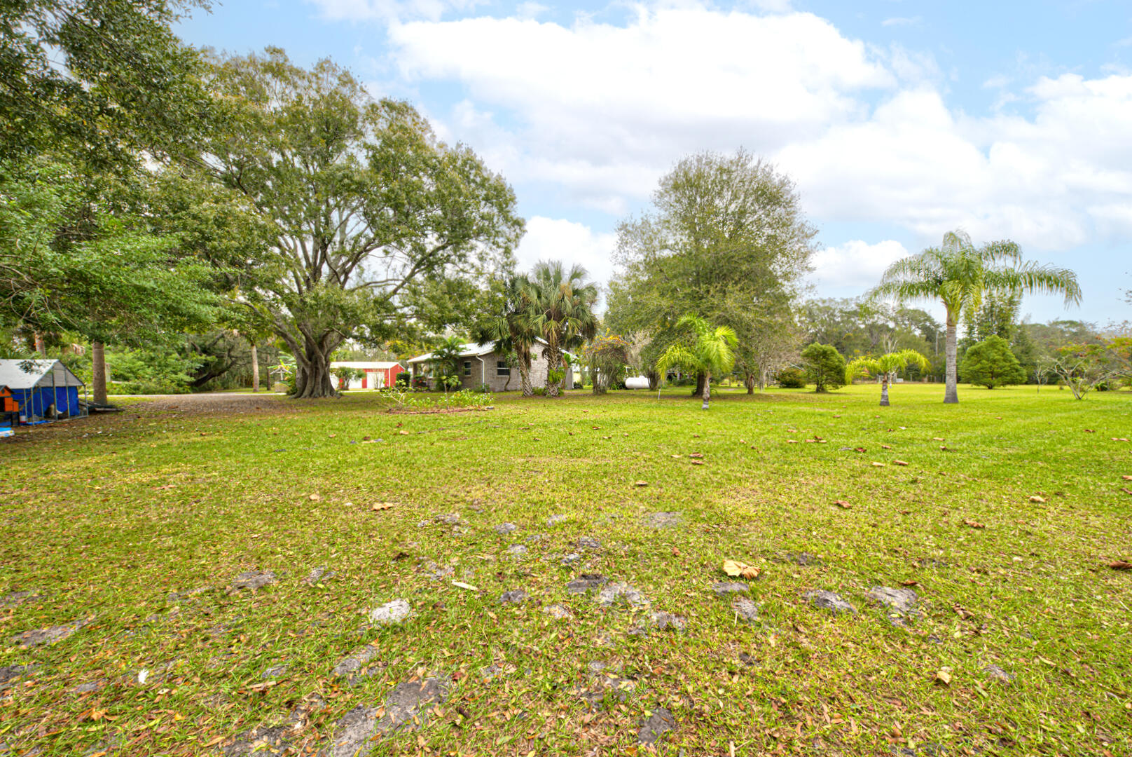 3007 Folsom Road