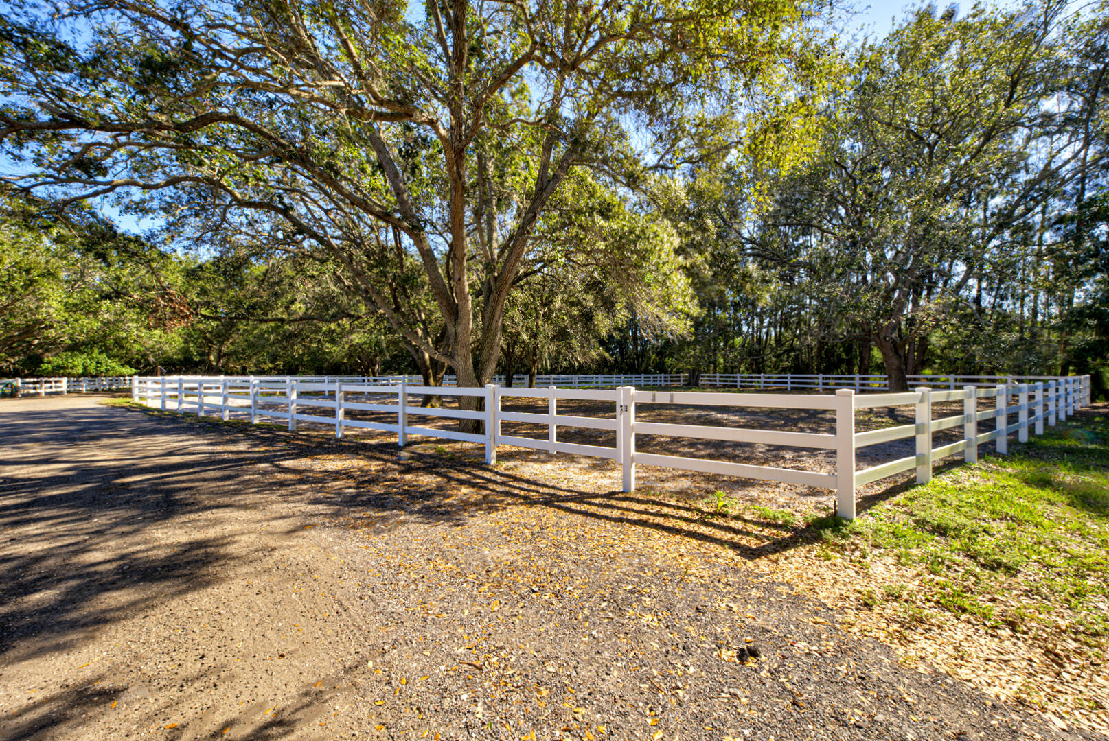 5655 S Tropical Trail