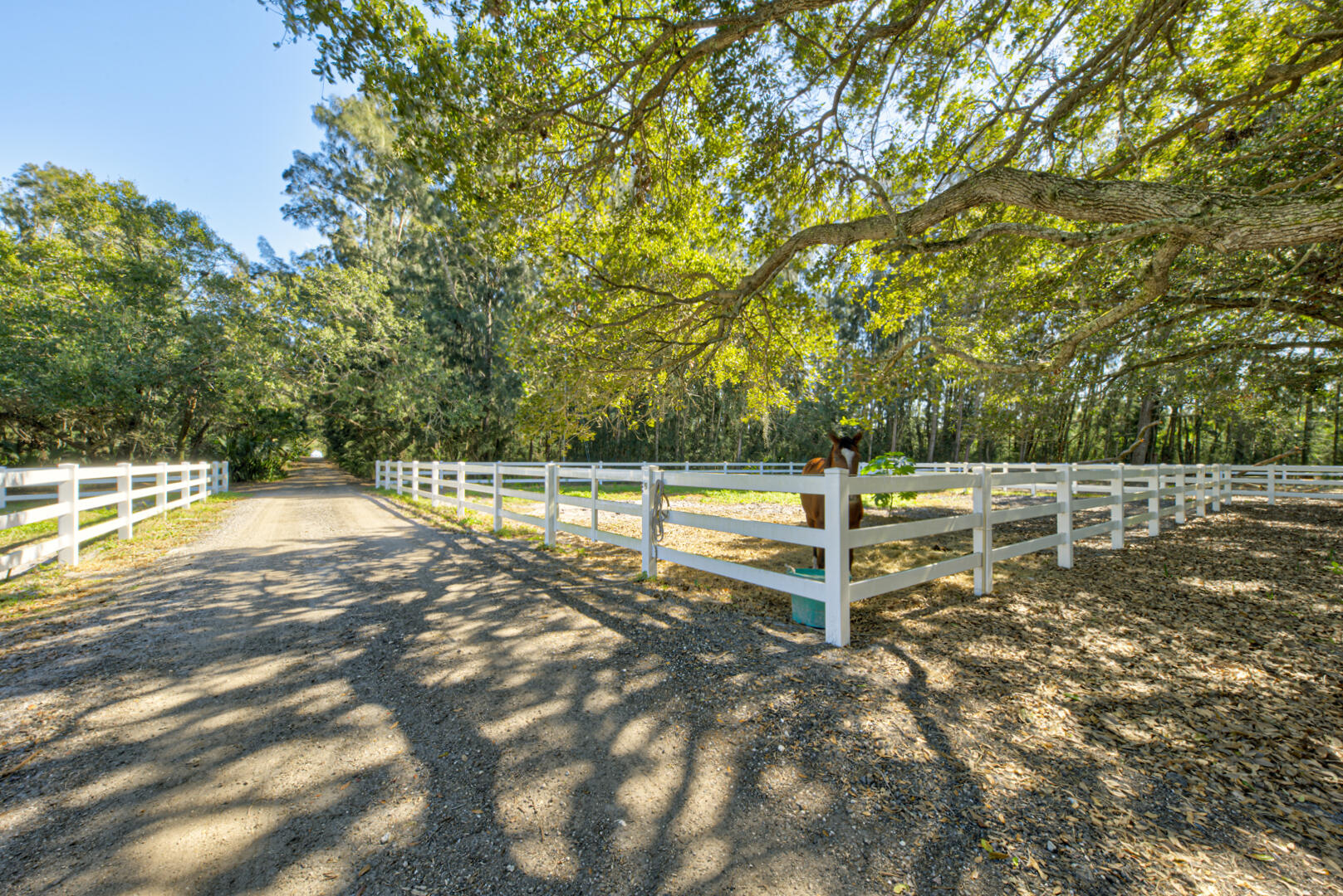 5655 S Tropical Trail