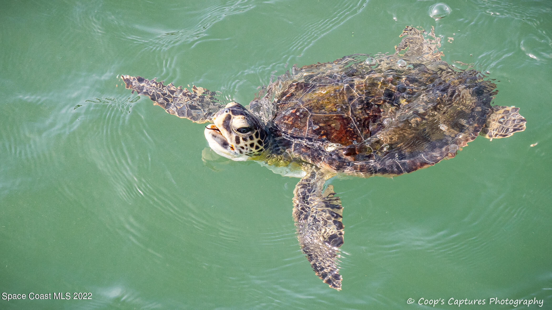 410 Seaport Boulevard, T125