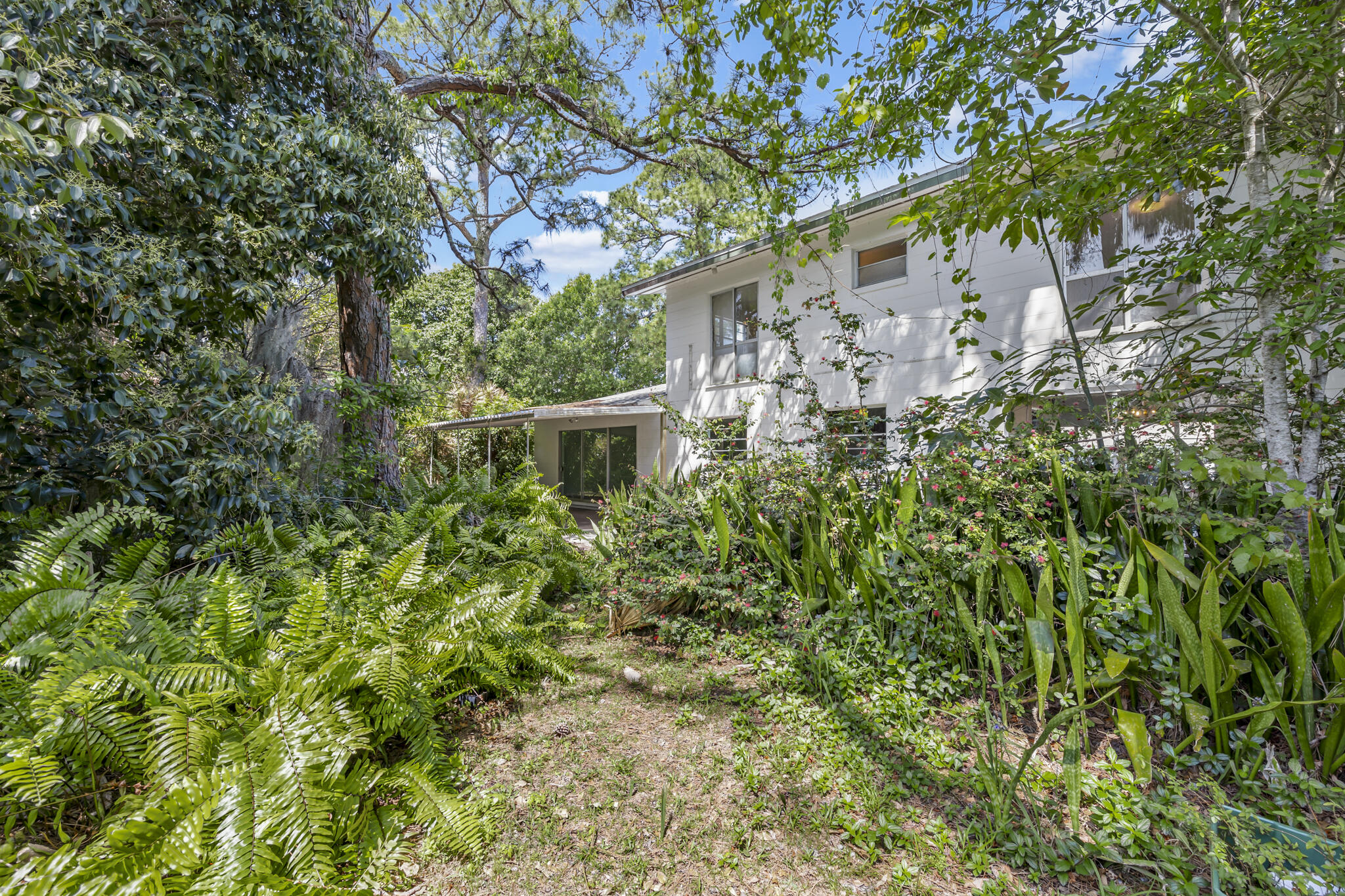 455 Pine Boulevard