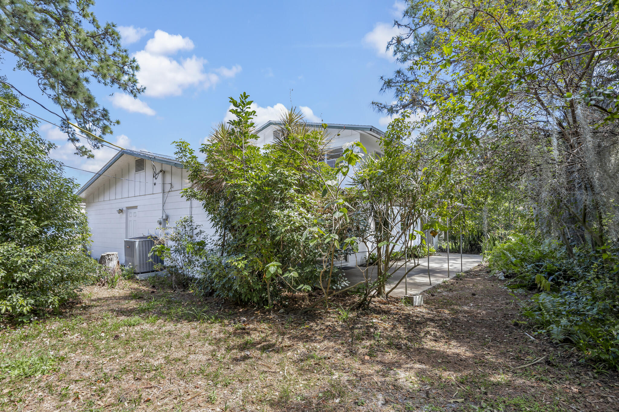 455 Pine Boulevard