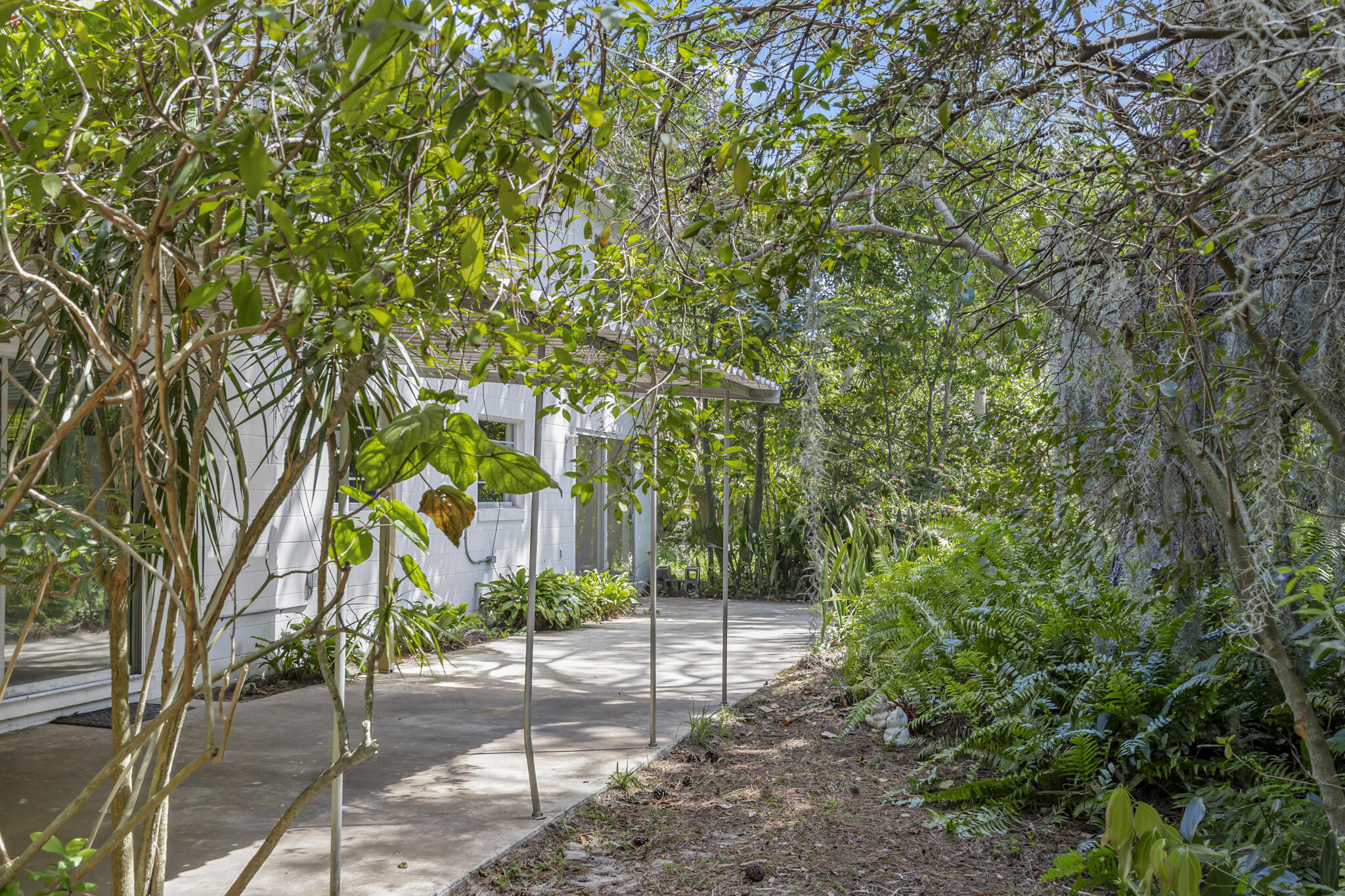 455 Pine Boulevard