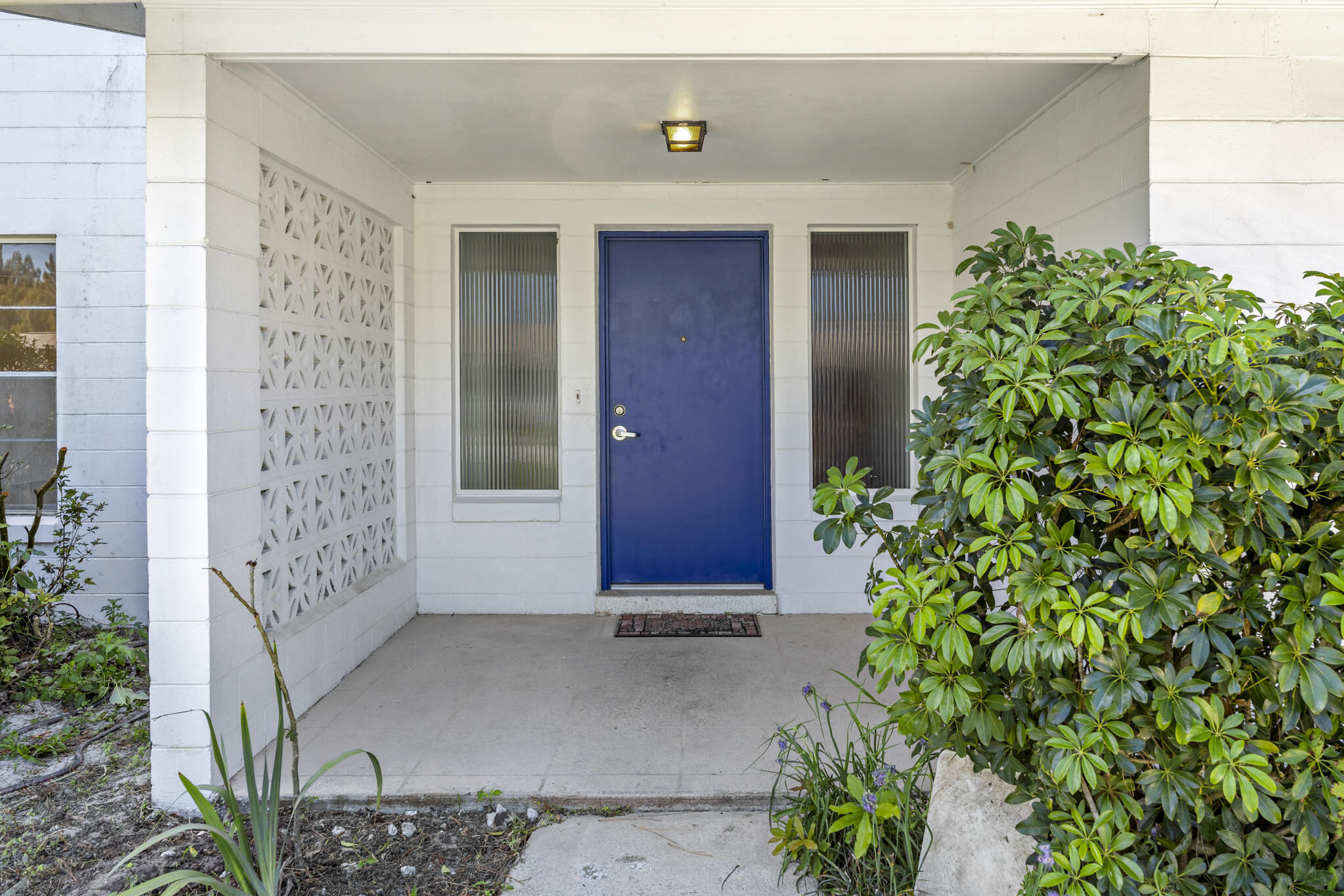 455 Pine Boulevard