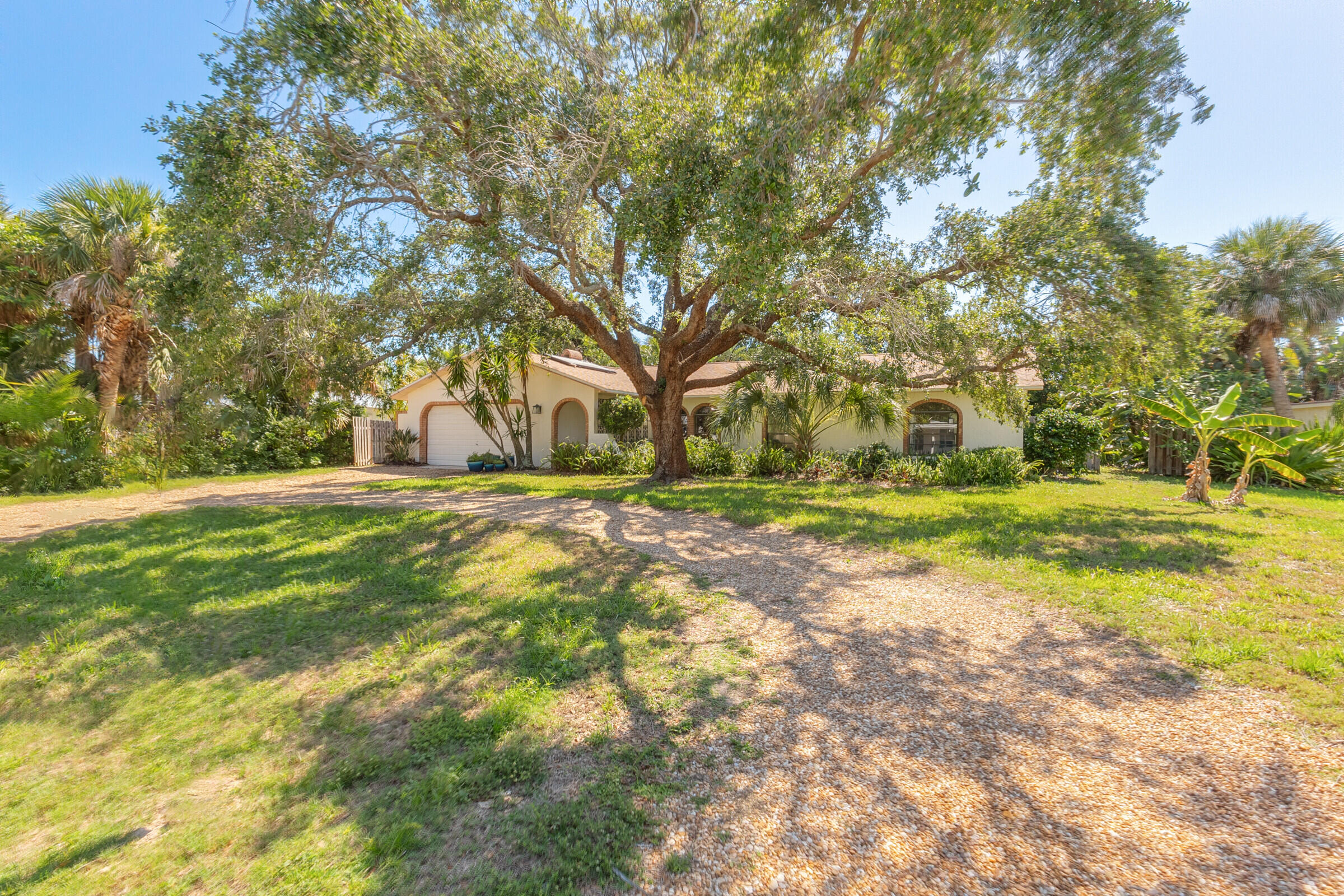 313 Banyan