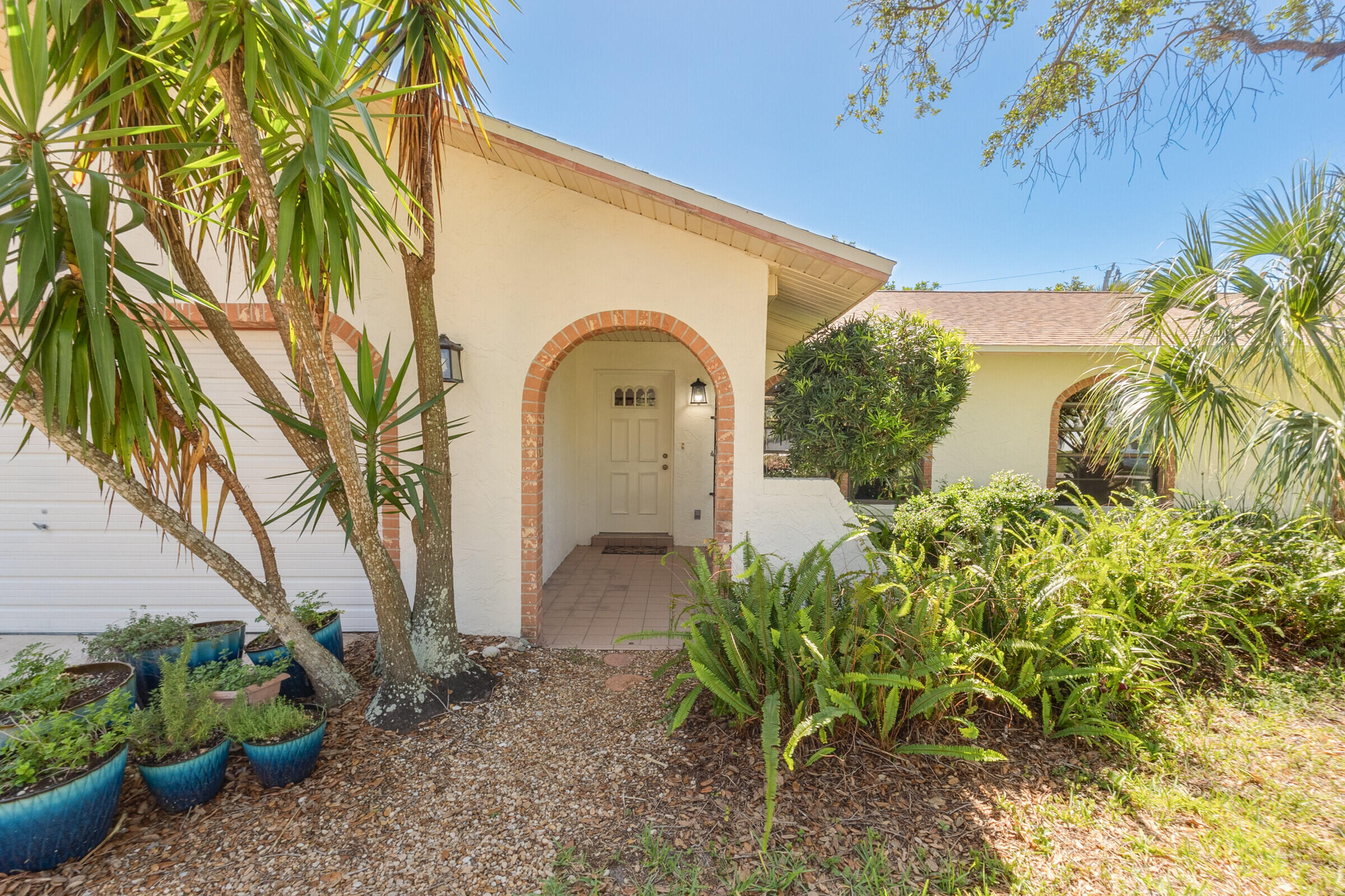 313 Banyan