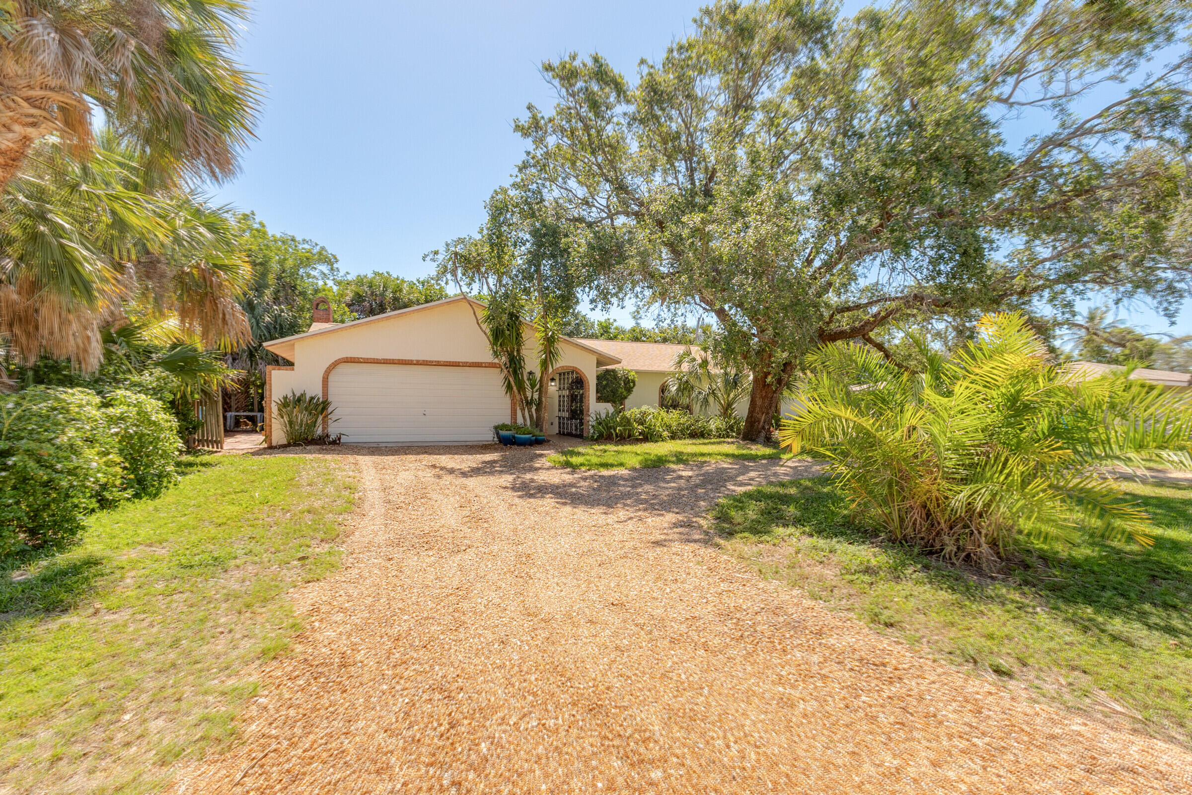 313 Banyan