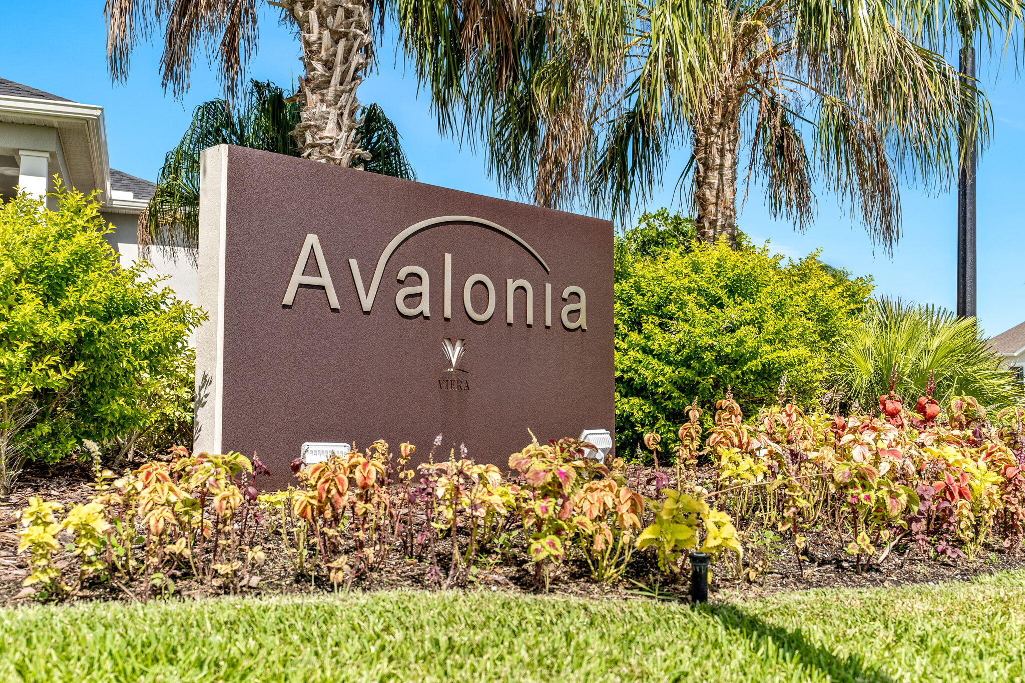 2989 Avalonia Drive
