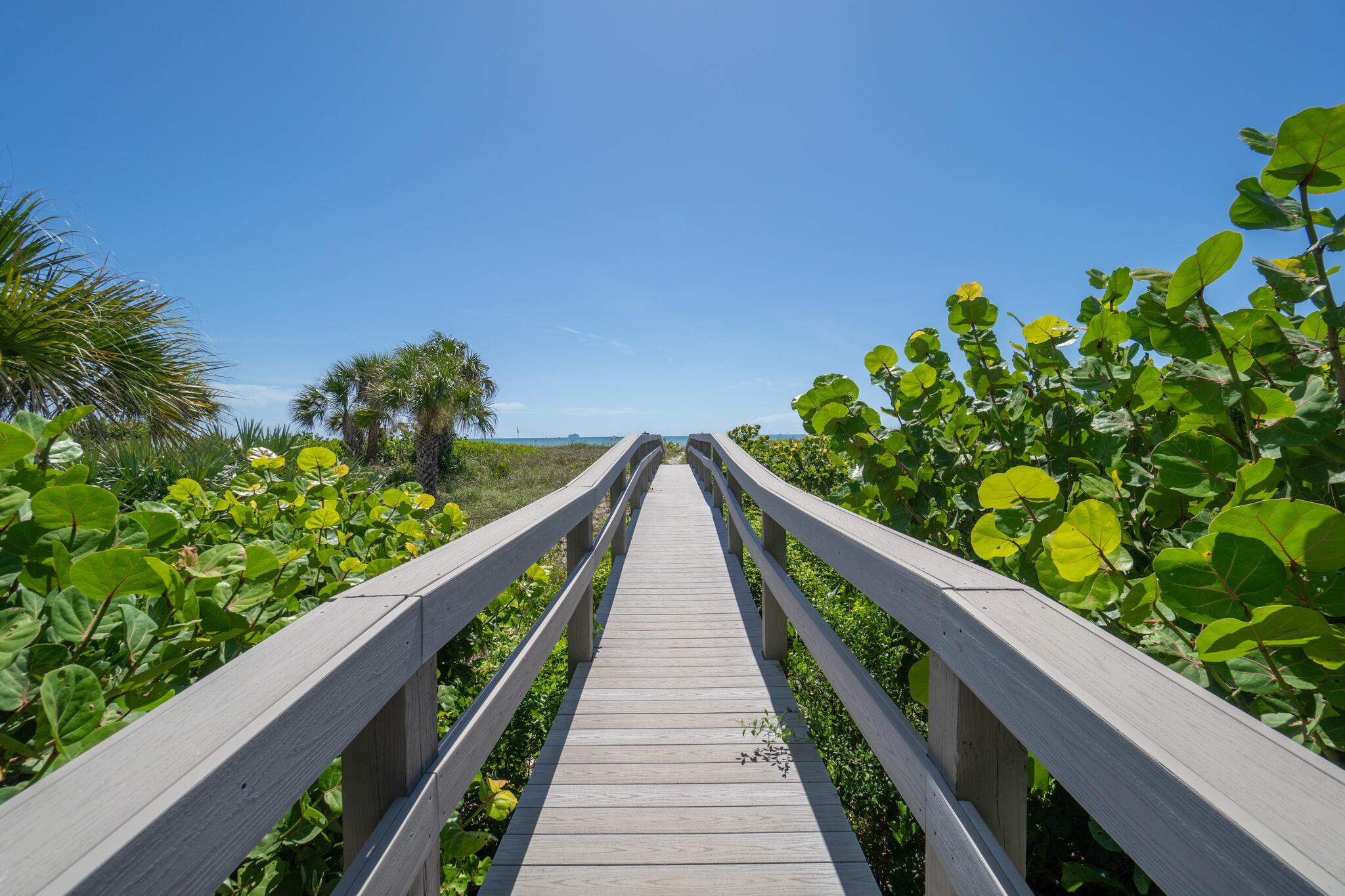3740 Ocean Beach Boulevard, 605